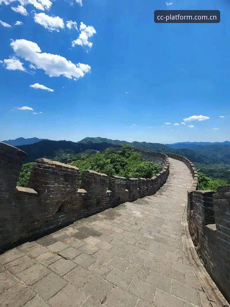 长城体育平台中国官方主页登录教程：从下载到使用，避开90%的人会犯的错